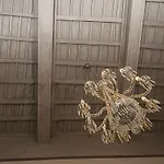 迪莫拉封神演义酒店 招待所 罗马