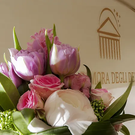 Dimora Degli Dei Guest house Rome