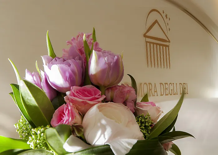 Dimora Degli Dei Guest house Rome